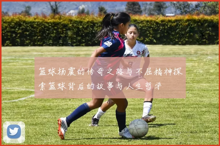 篮球杨震的传奇之路与不屈精神探索篮球背后的故事与人生哲学