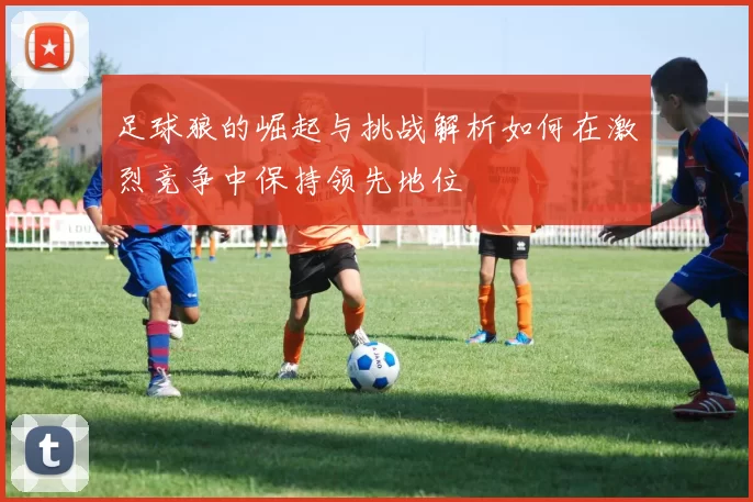 足球狼的崛起与挑战解析如何在激烈竞争中保持领先地位