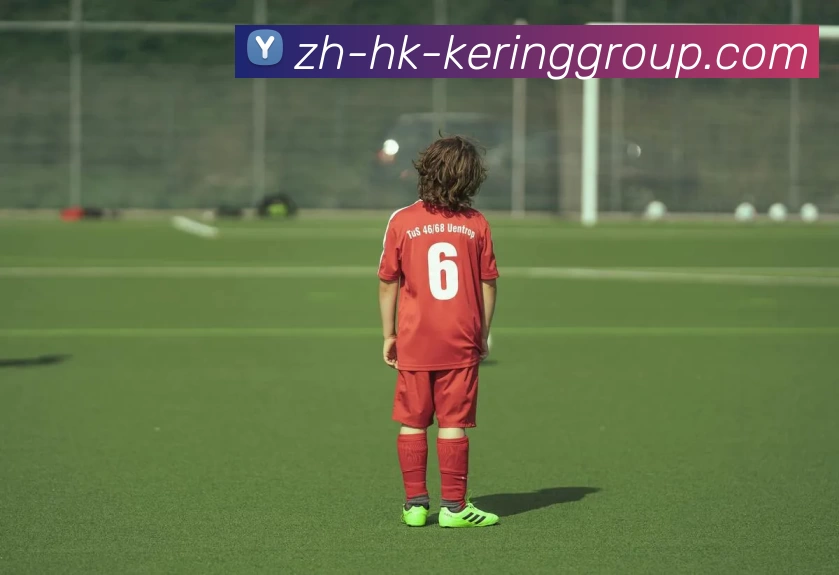 开云体育平台生态图