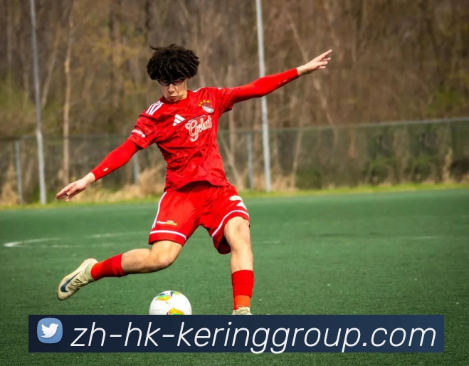 开云体育APP 封面图